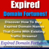 Thumbnail Expired Domains Fortunes - Make money from expired domains